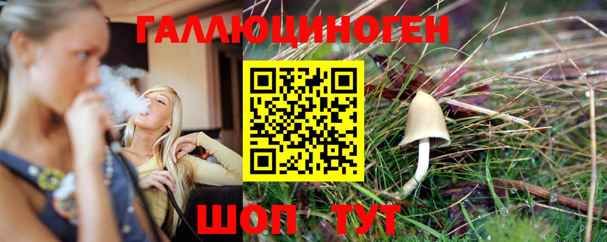 Псилоцибиновые грибы MAGIC MUSHROOMS Похвистнево